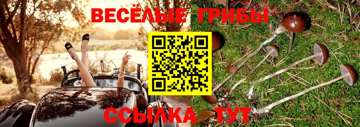Галлюциногенные грибы GOLDEN TEACHER  Галлюциногенные грибы Psilocybe  Барабинск  цена   Вход с VPN 